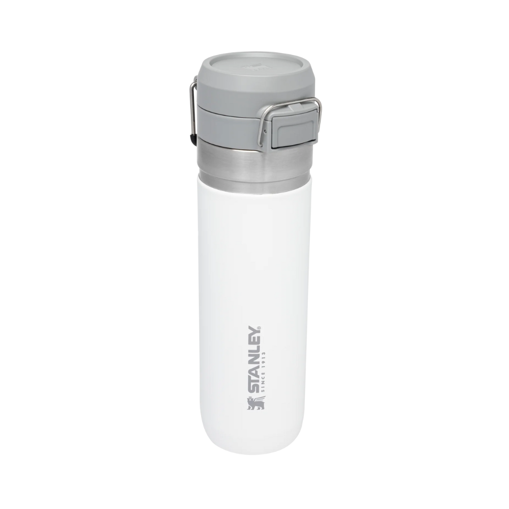FLIP GO BOTTLE 710 ML FROST